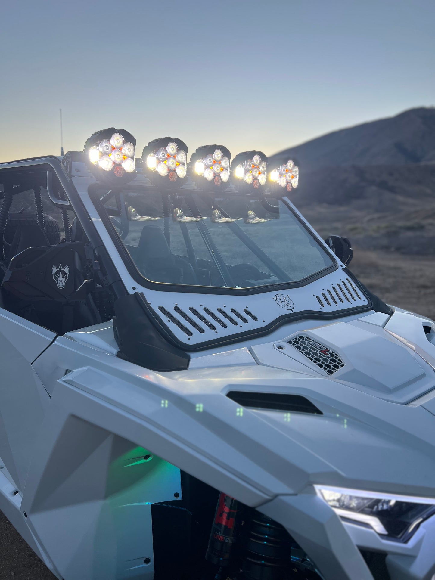 25+ Polaris Pro R Windshield